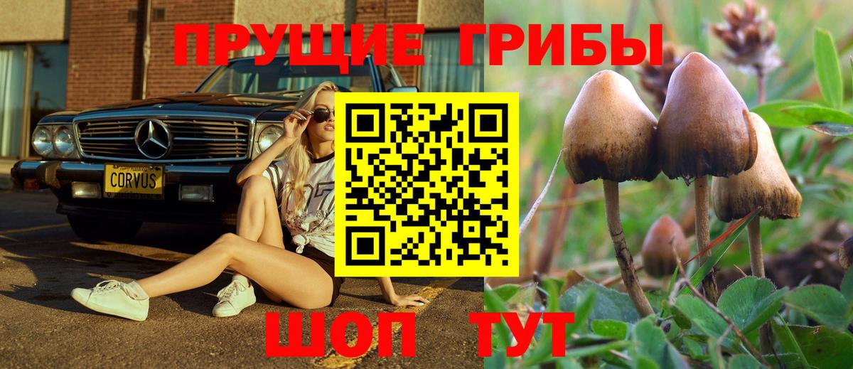 Партизанск  сколько стоит  Вход с VPN  Псилоцибиновые грибы мицелий 