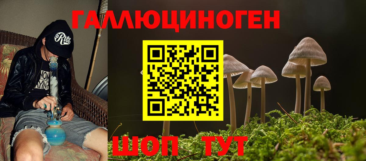 Галлюциногенные грибы мухоморы Партизанск